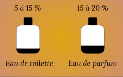 Différence entre Eau de Toilette et Eau de Parfum : le super guide!