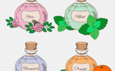 Questionnaire pour choisir la fragrance qui vous correspond