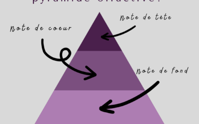 C’est quoi la pyramide olfactive d ‘un parfum?